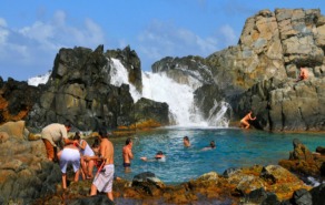 Natural Pool